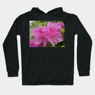 Pair of Pink Flowers Photographic Image Hoodie